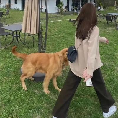 布拉沃大师